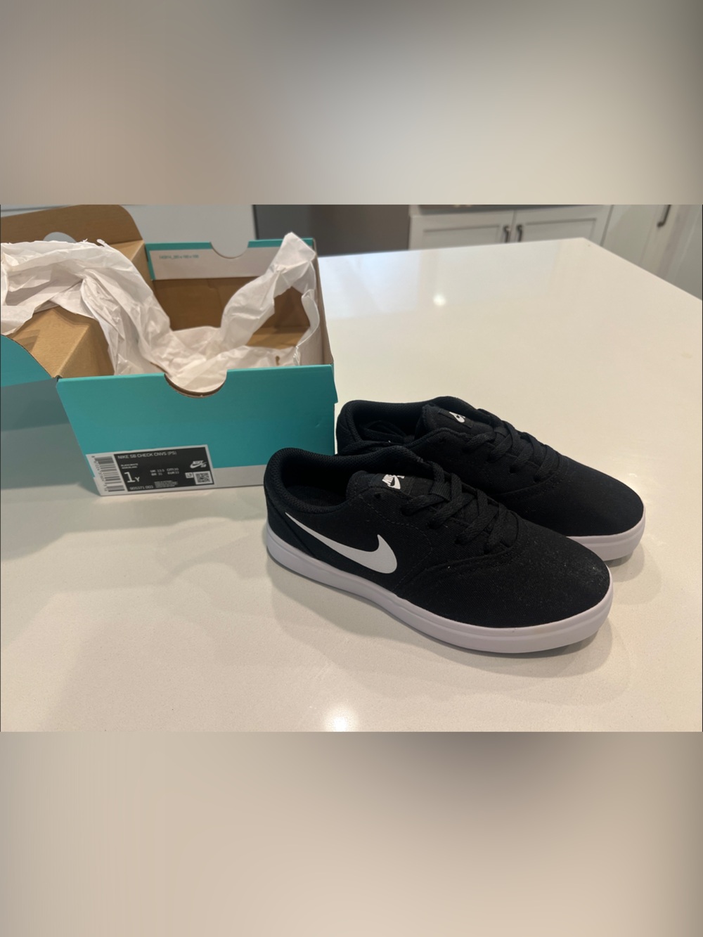 Nike SB Check